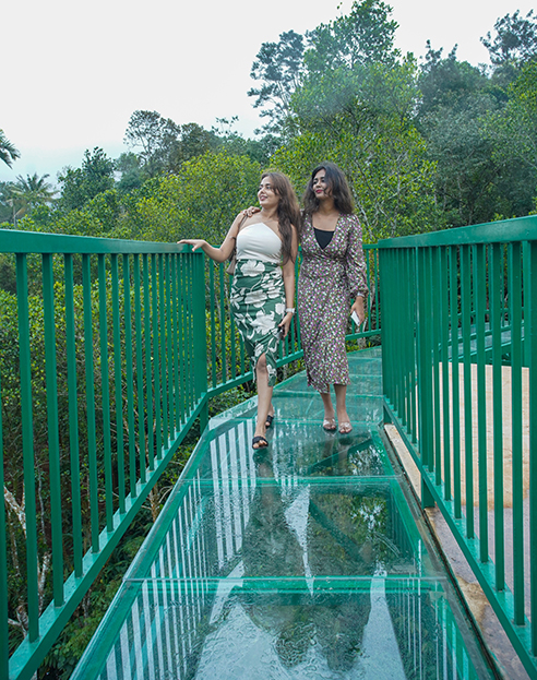 glass bridge in Munnar bison valley