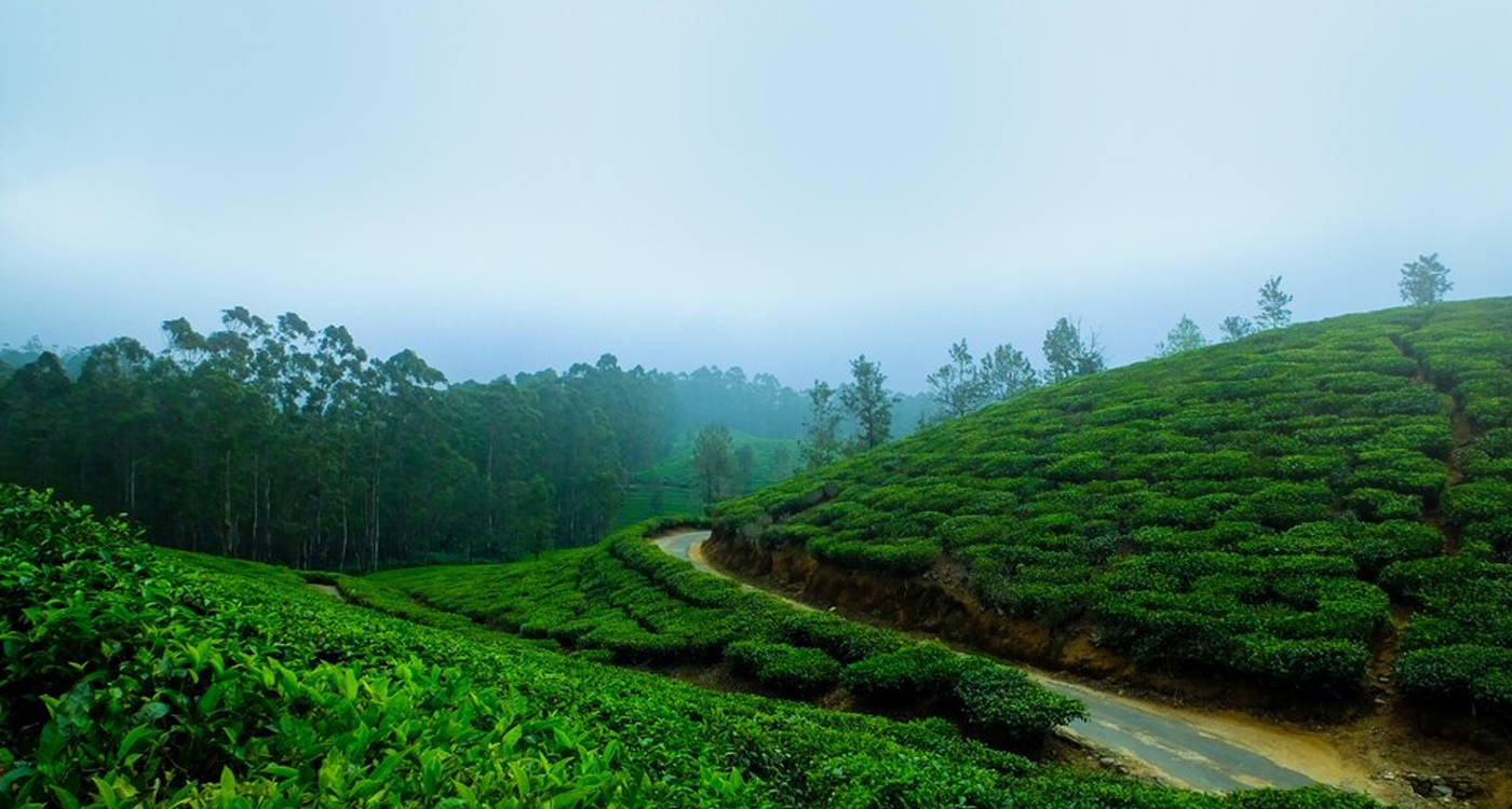 Indriya Adventure Park Bison Valley, Munnar