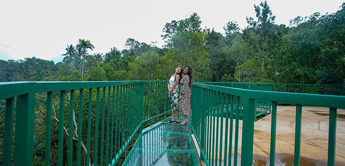 glass bridge Bison Valley Munnar