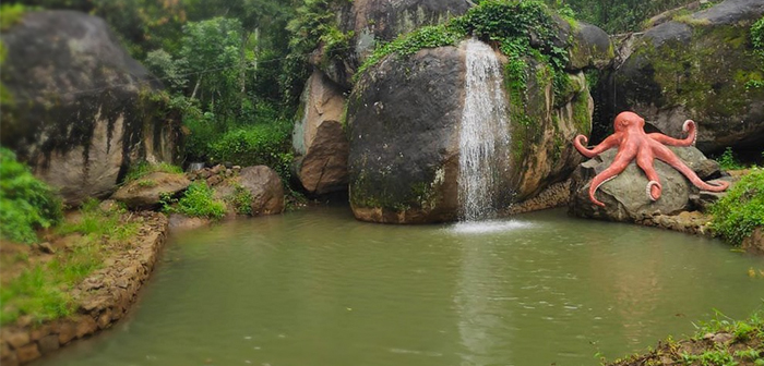 bison valley natural pond munnar