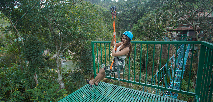 zip lane Munnar bison valley