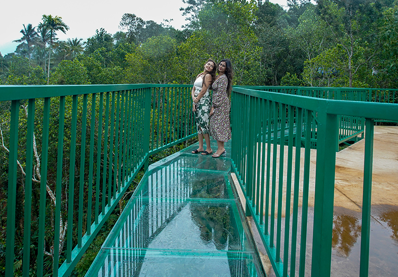 glass bridge Munnar kerala