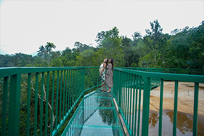 glass bridge Munnar